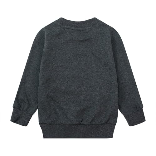 Image of Popshion Toddler Boys Sweatshirts Dinosaur Long Sleeve Pullover Crewneck Shirts Cartoon Tee Sport Tops for Kids 1-8T