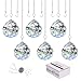 MerryNine Clear Crystal Ball Prism Suncatcher Rainbow Pendants Maker, Hanging Crystals Prisms for Windows, for Feng Shui, for Gift(40mm/1.57" 6pack)