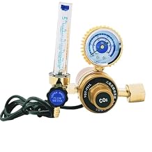 Carbon Dioxide Heating Pressure Gauge Regulator 36V 110V 220V Electrically Heated CO2 Reducer36V
