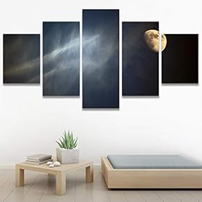 SIGNWIN 5 Panel Canvas Wall Art Aerial Astronomy...