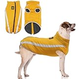 cachorros labrador en venta oaxaca 【Amplio uso】Nuestra ropa de invierno para mascotas son cómodos y de moda, puede prevenir el frío y mantener el calor del animal doméstico en el otoño y el invierno y es perfecto para el traje de perro en cualquier ocasión como la fiesta, paseo nocturno, o el desgaste diario, adecuado para perros medianos y grandes como Corgi galés, King Charles Spaniel, Bulldog francés, Golden Retriever, Labrador, Samoye, Husky, Beagles, Schnauzer, perro pastor, etc.