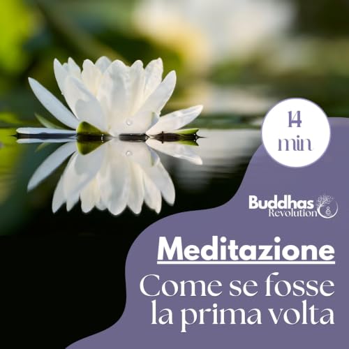 Come se fosse la prima volta (Mente del principiante)