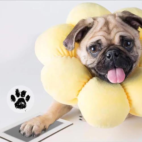 Kit de impressão de pata para cães | Kit criativo de impressão de pata para gatinho, kit de moldura