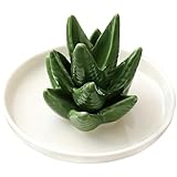 Eohak Portaanelli a forma di cactus, in ceramica, con cactus, vassoio decorativo per gioielli e piante grasse, per matrimoni, compleanni, decorazioni per la casa (Aloe vera)