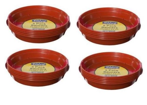 4 x 5 to 6 Plastic Saucer Terracotta Pot pack of 5 (20pcs) for Garden Flowers Plant Pots