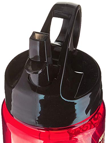 Silver Buffalo Garrafa de água HP0164, 600 ml, multicolorido