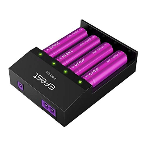 EverActive Caricatore Per 4 Batterie AAA AA, Professionale, Veloce