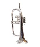 Flugel Horn 3 Valve, BB Pitch, Premium Brass Quality Including Mouthpiece & Carrying Case, Glove, (S