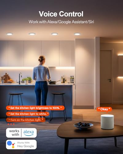 Lutron smart lighting system