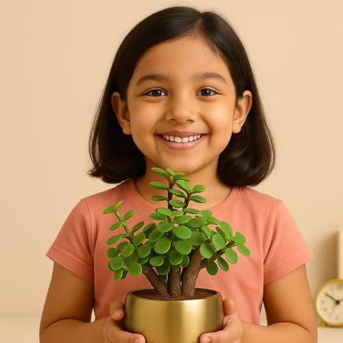 Image of Half Engineer Jade Plant In Gold Tone Metal Pot 3 X 3 Inch Pot Included with Rakhi |Rakshabandhan Gift For Brother Bro Bhai (Rakhi Gift Set)