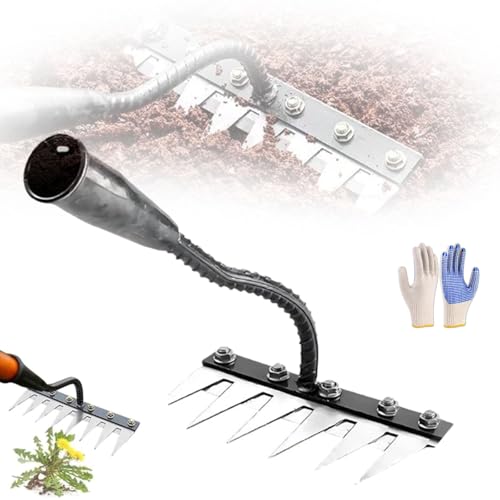 lawn garden tools 6 best dethatching rakes