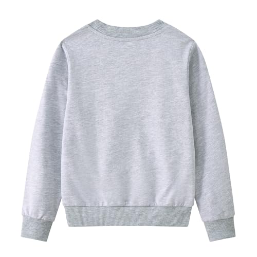 2-Pack Toddler Sweatshirts Kid Boys Printed Cotton Long-sleeved Tops Crewneck Pullover Shirts For Kids 3-8 Years3