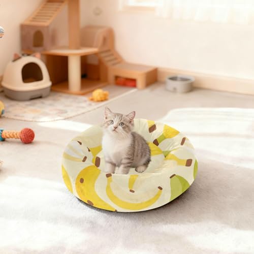 Lit pour chat et chaton amovible S jaune