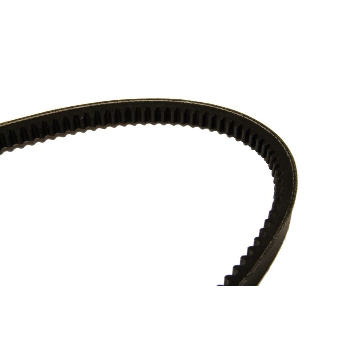 Cinghia Trapezoidale Bosch 13X1300 - Ricambio Auto, In Gomma Rinforzata, Resistente A Olio E Calore - Foto 4