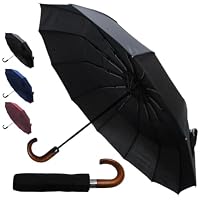 Rare 12 Rib Compact Small Umbrella - Strong Windproof Umbrella - Vented