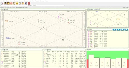 Image of Parashara's Light 9.0 Astrology Software (Professional Edition) - (English + HIndi) Bilingual for Windows (USB Pendrive)