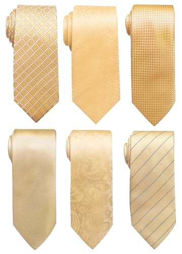 Image of Passabin Tie For Men Necktie Woven Jacquard Neck Ties Set 6 PCS