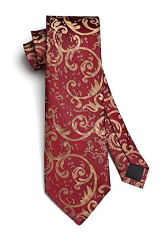 Image of HISDERN Ties for Men Paisley Tie and Pocket Square Woven Classic Floral Mens Ties Handkerchief Set Wedding Party Necktie