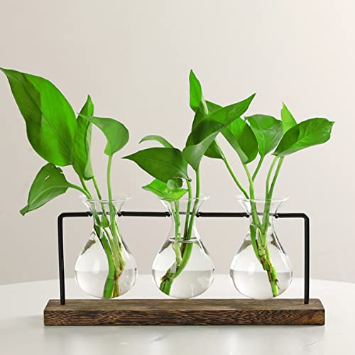 Plant Terrarium with Wooden Stand Innjoii, Propagation Station with 3 Hyacinth Vases - Image 2