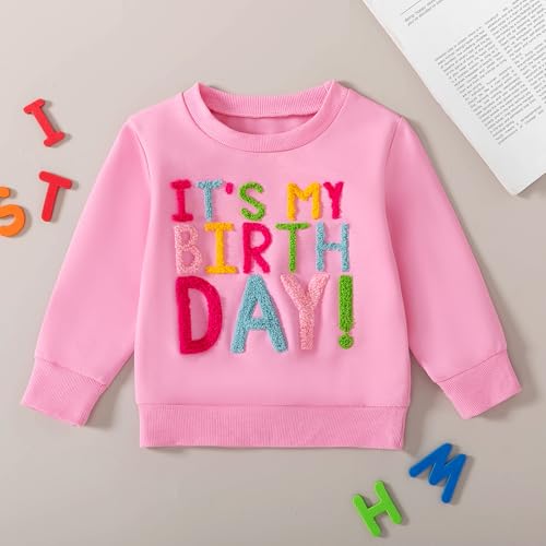 Toddler Fall Outfit Birthday Girl Print Sweatshirt Top Crewneck Pullovers Shirt Little Princess Birthday Clothes2