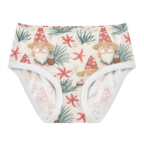 ZZKKO Gnome with Coconut Girls Underwear Toddler Panties for Girls Comfort Brief Size 2T-8Y