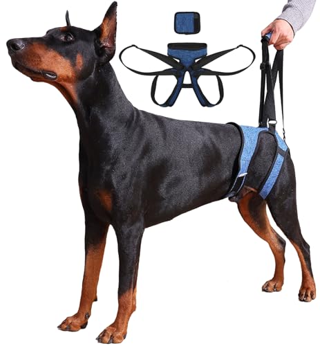 Harbyel Dog Lift Harness – Adjustable Hind Leg Support Sling for Medium & Large Dogs, Soft Padded Mobility Aid for Senior, Injured & Arthritic Dogs