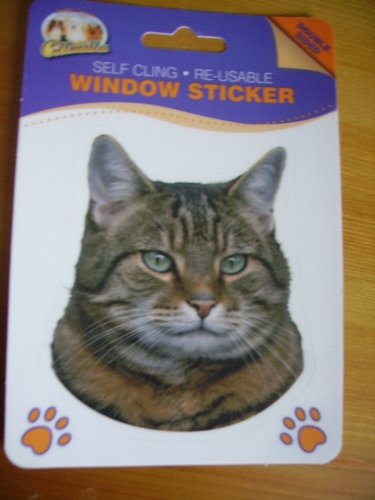 Tabby Cat double sided window sticker car home re-usable