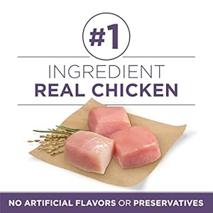 Purinaonehighproteindryseniordogfoodplusvibrantmaturityadult7plusformula311lbbag Urban Country Home Decor Purina one high protein dry senior dog food plus vibrant maturity adult 7 plus formula 311 lb bag urban country home decor