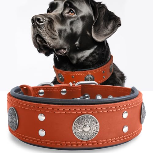 Image of Genuine Leather Dog Collar for Large Dogs,2 in Wide Heavy Duty,OR-S | Handmade,Stainless Steel Buckle,Soft Padded,Alloy Studded,Luxury Eye-catching Design,Medium Large Giant Breeds,16.5-20.5 in