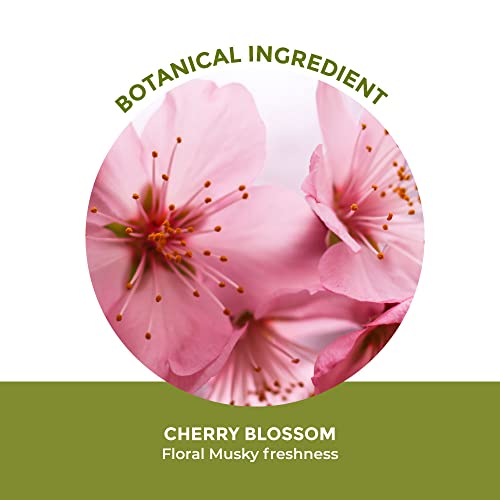 Yves Rocher Cherry Blossom Scent, Cherry Bloom, Shower Gel, 200 Ml./6.7 Fl.oz. #TOP2
