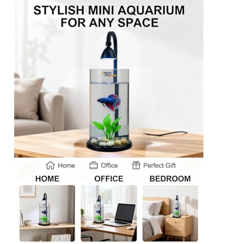 Image of VAYINATO Mini Acrylic Desktop Fish Bowl PS-10 (Black /White) | 1.2L Capacity | 10cm Diameter x 20cm Height | Aquarium Bowl with Multi-Color Hanging LED Light | Ideal for Betta | Office & Home Decor