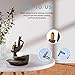 Lotus Flower/Monk Backflow Incense Burner, Large Handmade Ceramic Backflow Cone Sticks Incense Holder Home Decor Craftwork Figurine with 10 pcs Incense Cones (A Lotus)