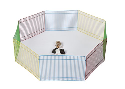 Pet Ting - Parque de Juegos para hámster de Conejo, 34 x...