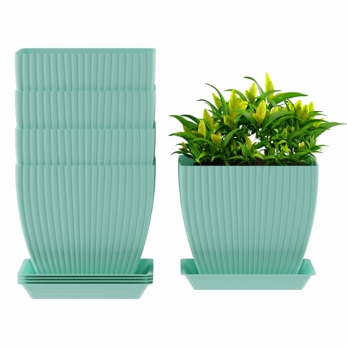 Image of HOMIFLY 5 Pack Plastic Square Flower Pots with Drainage & Bottom Tray /Lightweight, UV & Weather Resistant /6.5 Inch Planters for Indoor /Outdoor /Home /Balcony /Terrace /Garden Plant Pots (Sky Blue)