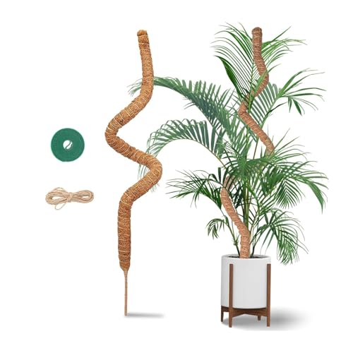 Hisdricus 120cm Tutor Monstera - Soporte para Plantas - Flexible Tutor Plantas de Fibra de Coco - Monstera con Cuerda de Yute y Cierre de Gancho y Bucle - Adecuado para Monstera y Otras Trepadoras