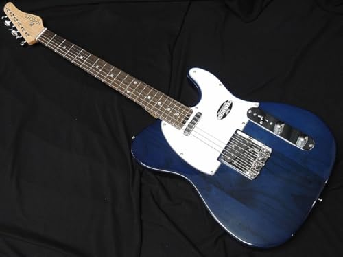 Amazon | SCHECTER OL-PT-AL DBL R シェクター テレキャスター