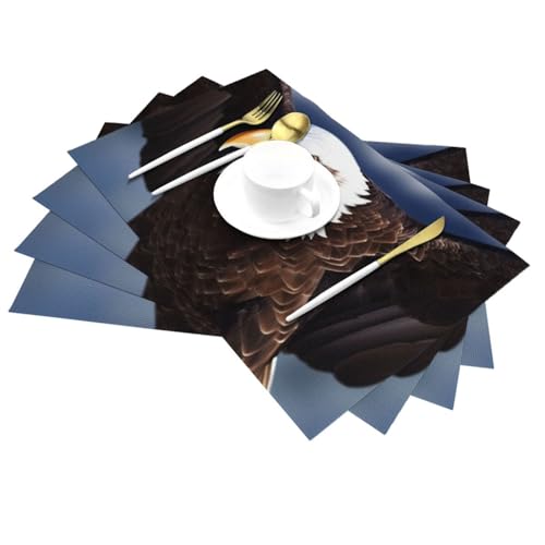 Set de table en vinyle motif aigle lavable 30x45 cm - Lot de 6