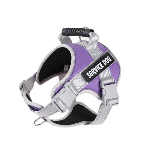  n[lX n[lX ^ ^ ^ȒP Ȃ ֈh~ P݌y TCYԔˍޘV  P s⏕ U  n[lX̎U͂ƈS (, S)