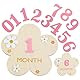 1 Set Meilensteinkarten Baby,DIY Blumen Meilensteinkarten Baby Holz,Austauschbare Figur Babys Monatskarten (1-12 Monate,Rosa)