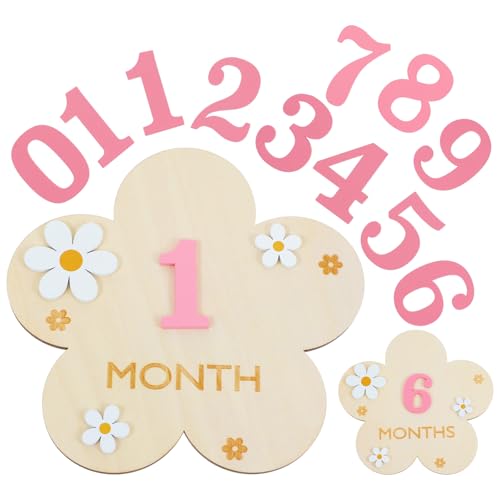 Image of 3D Baby Monthly Milestone Markers Disc, Milestone Wooden Circles for Baby Photos, Babies Announcement Sign, Babies Months Signs, 1-12 Month Milestones Cards
