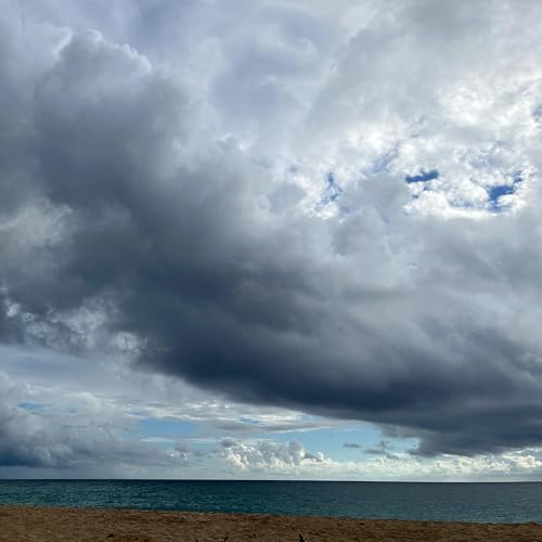 Ocean Breezes and Sandy Shores