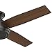 Hunter Fan Company 59249 Dempsey 52 inch Ceiling Fan with Light and Remote, Low Profile Indoor, Noble Bronze Finish