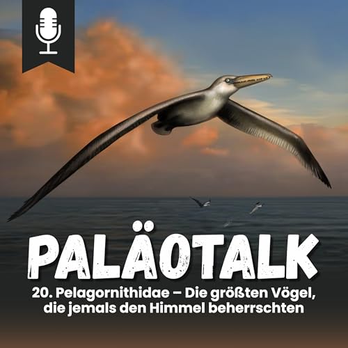 20. Pelagornithidae &ndash; Die gr&ouml;&szlig;ten V&ouml;gel, die jemals den Himmel beherrschten