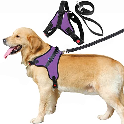 Sakruda Arnés para perro con 1 correa para perro, color púrpura-XL Cover