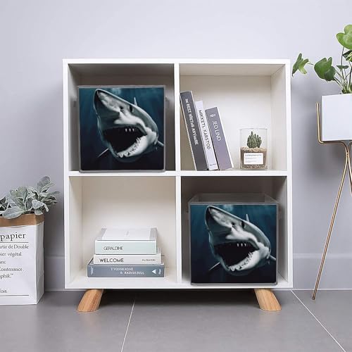 Cubes de rangement pliables requin pour placard enfant ordonné