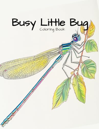 Busy little Bug: Coloring Book