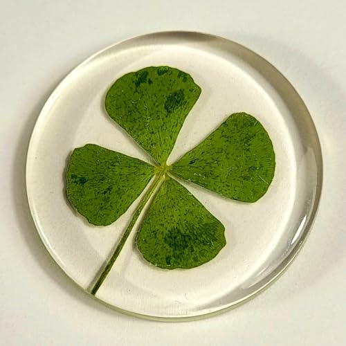 Image of 33mm Real Four Leaf Clover Shamrock in Round Crystal Clear Lucite Resin Token Specimen St.Patrick's Day inchLucky Leaf inch Coin Gift Crafts Collection for Botany Science Education & Desk Ornament Display