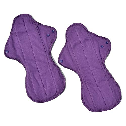 Ecofit Compresas Ecofit Maxi/Noche 2 Unds 350 g Cover