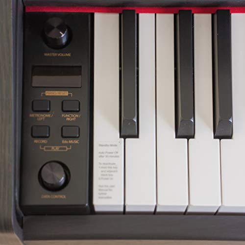 Pianova P-191 RW Pack Piano Numérique avec 88 Touches Contrastées d’action Marteau + Banquette + Écouteurs - Les Beatles, Paul McCartney, John Lennon, RIngo Starr, George Harrison Pianova P-191 RW Pack Piano Numérique avec 88 Touches Contrastées d'action Marteau + Banquette + Écouteurs – Image 7