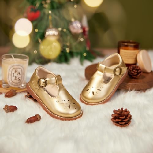 Image of Felix & Flora Toddler Little Girl Princess Dress Shoes-Mary Jane Flats for Girl Party School Shoes